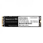 Team MS30 256GB M.2 2280 SATA-III SSD
